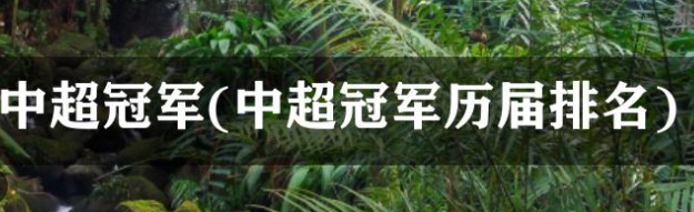 历届中超冠军 中超联赛历届冠军